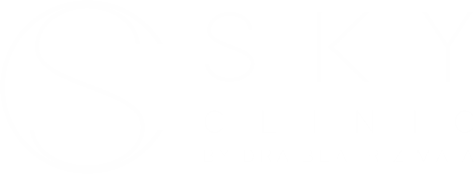 Sky Clinic – logo horizontal sem fundo 6